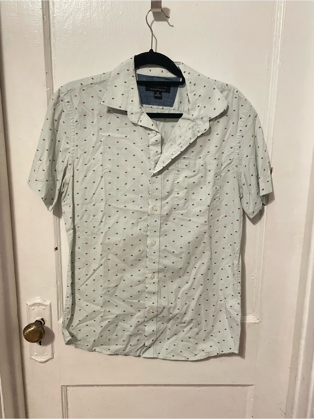 Banana Republic Light Mint Short-Sleeve Button-Down with Tiny Rust Dot Print